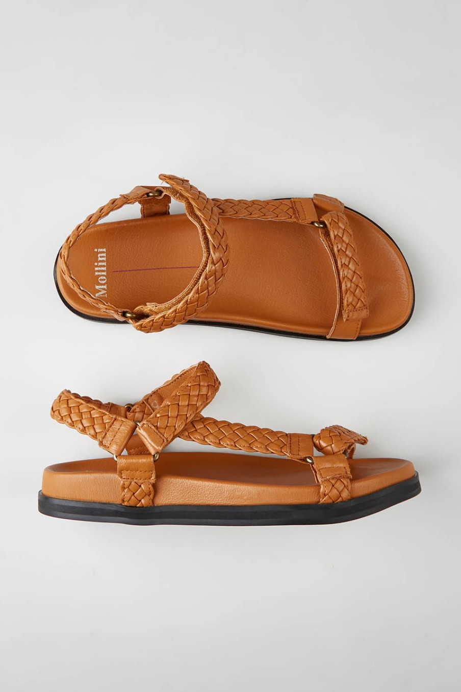 Shoes Mollini | Haveto Flat Bktan